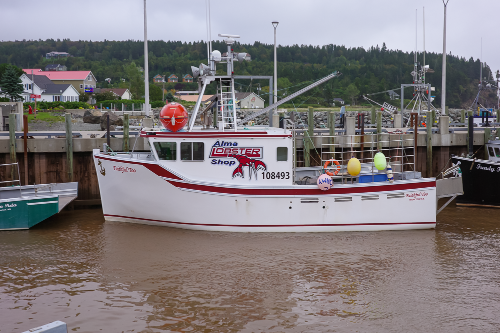 DAY 4 – Leaving St. Martins & Arriving to Fundy National Park